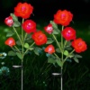LED Sončne Rose Nepremočljiva PONUDBA 1 + 1