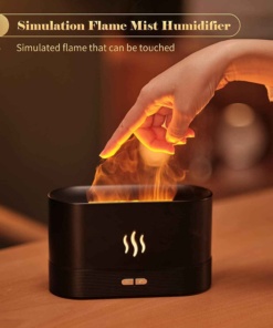 Vlažilec zraka in difuzor