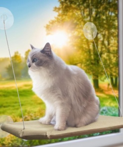 Mačja postelja za na okno