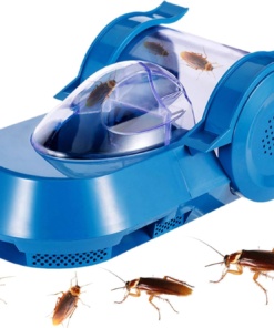 Past za ščurke brez kemikalij