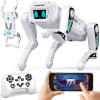 Interaktivni robotski pes - ORION K9