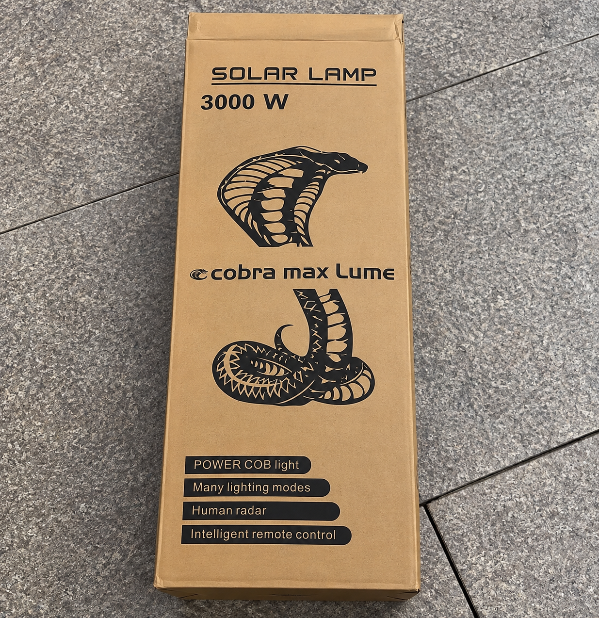 Ulična razsvetljava LumiVanta™ Cobra Max Lume, 3000 W - slika 9