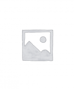 Uncategorised